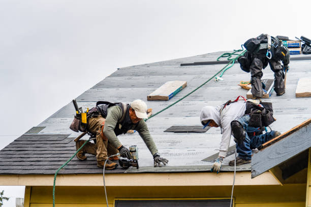 Professional Storm Damage Roof Repair technician working in Treadwell, NY